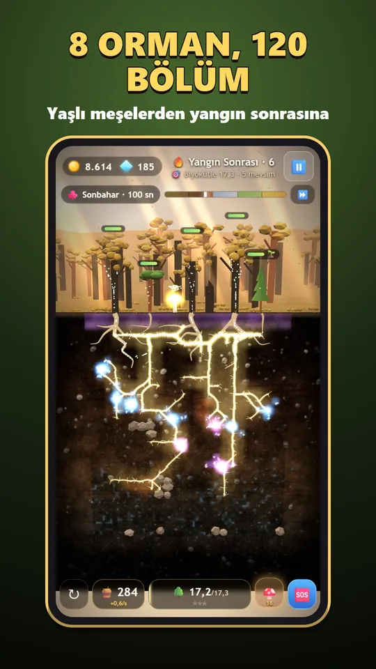 Mycelium – Yangından sonra orman